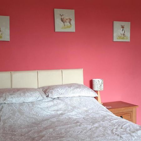 Bed and Breakfast Plumtree House Brigsteer Exterior foto